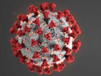 Corona virus