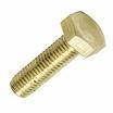 brass screw